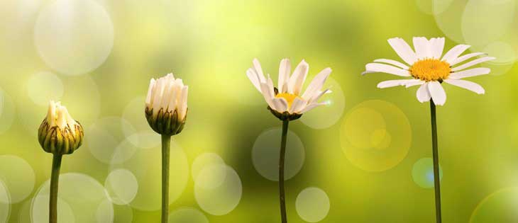 क्या आपकी ‘जीवन रूपांतरण की इच्छा’ बहुत सतही तो नहीं है?